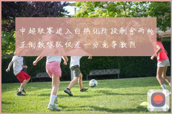 中超联赛进入白热化阶段剩余两轮正倒数球队仅差一分竞争激烈
